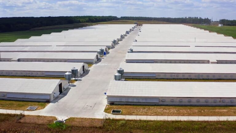 pintura de galpões, barracões e armazéns em Rondonópolis, MT